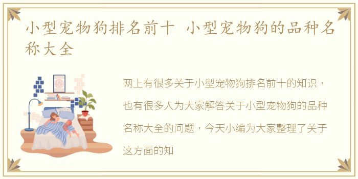 小型宠物狗排名前十 小型宠物狗的品种名称大全