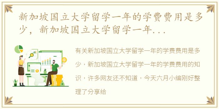 新加坡国立大学留学一年的学费费用是多少，新加坡国立大学留学一年的学费费用