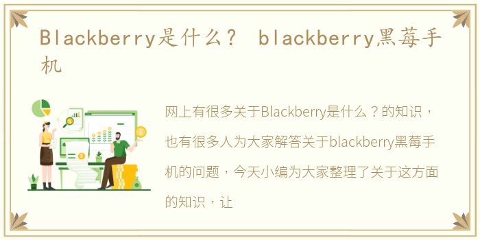 Blackberry是什么？ blackberry黑莓手机