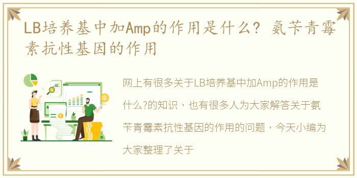 LB培养基中加Amp的作用是什么? 氨苄青霉素抗性基因的作用