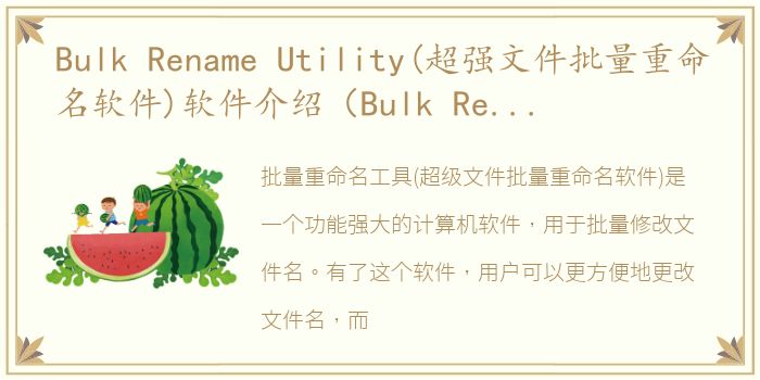 Bulk Rename Utility(超强文件批量重命名软件)软件介绍（Bulk Rename Utility(超强文件批量重命名软件)）