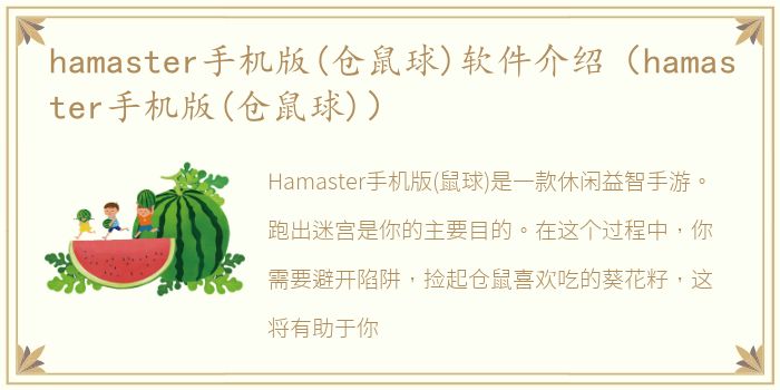 hamaster手机版(仓鼠球)软件介绍（hamaster手机版(仓鼠球)）
