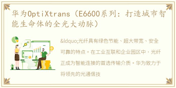 华为OptiXtrans（E6600系列：打造城市智能生命体的全光大动脉）