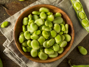 什么是蚕豆关于世界上最古老的豆类之一您需要了解什么