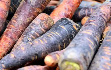 探索饮食中加入黑胡萝卜的8项健康益处