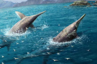古生物学家鉴定出三叠纪巨型鱼龙新物种