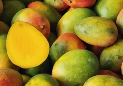 吃之前需要将芒果浸泡在水中吗以下是您应该这样做的10个理由