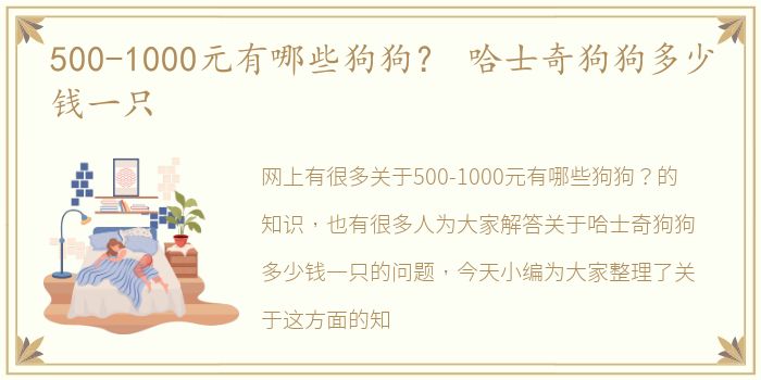 500-1000元有哪些狗狗？ 哈士奇狗狗多少钱一只