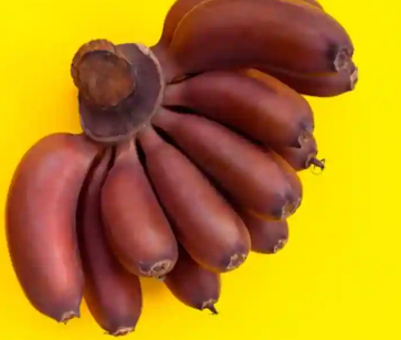 7种美味又简单的红香蕉食谱