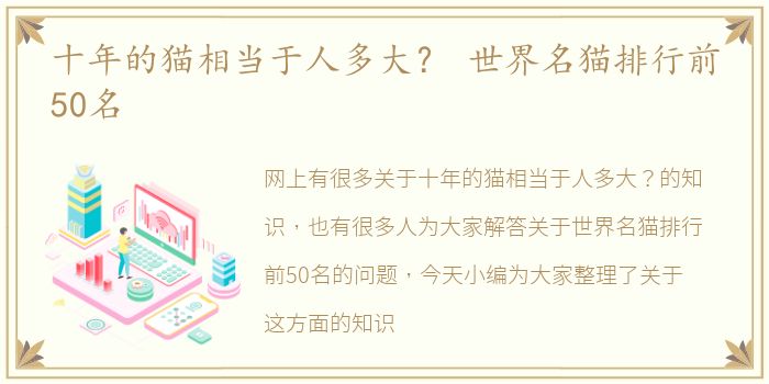十年的猫相当于人多大？ 世界名猫排行前50名