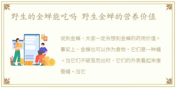 野生的金蝉能吃吗 野生金蝉的营养价值