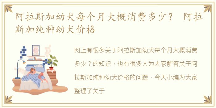 阿拉斯加幼犬每个月大概消费多少？ 阿拉斯加纯种幼犬价格