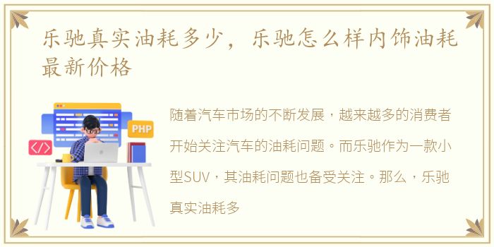 乐驰真实油耗多少，乐驰怎么样内饰油耗最新价格