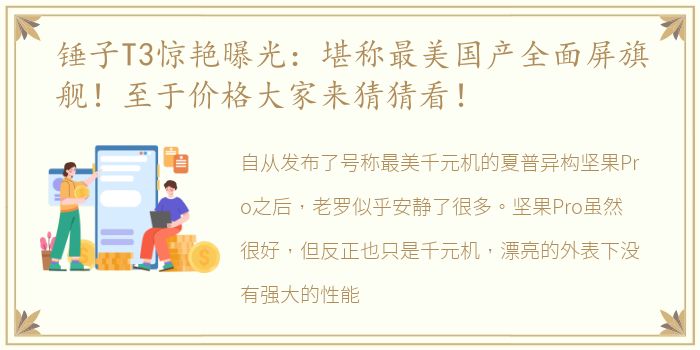 锤子T3惊艳曝光：堪称最美国产全面屏旗舰！至于价格大家来猜猜看！