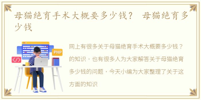 母猫绝育手术大概要多少钱？ 母猫绝育多少钱