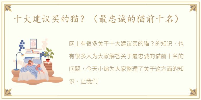 十大建议买的猫？（最忠诚的猫前十名）