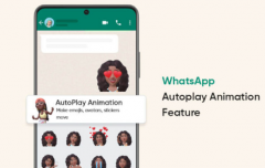 WhatsApp 通过自动播放动画功能变得更具表现力
