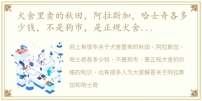 犬舍里卖的秋田，阿拉斯加，哈士奇各多少钱，不是狗市，是正规犬舍的价格 阿拉斯加和哈士奇哪个贵