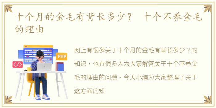 十个月的金毛有背长多少？ 十个不养金毛的理由