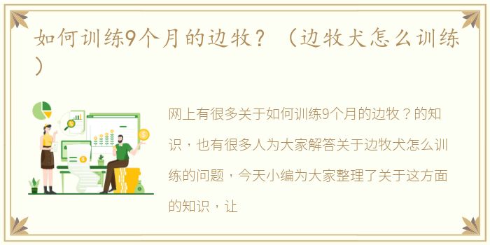 如何训练9个月的边牧？（边牧犬怎么训练）