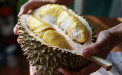味道很臭但营养丰富的榴莲是必尝水果