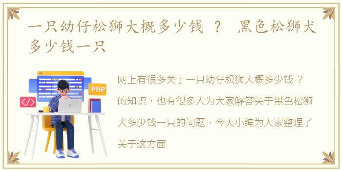 一只幼仔松狮大概多少钱 ？ 黑色松狮犬多少钱一只