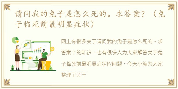 请问我的兔子是怎么死的。求答案？（兔子临死前最明显症状）