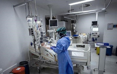 科学家成功实施世界首例人体异种肝移植手术