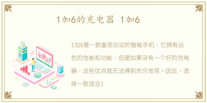 1加6的充电器 1加6