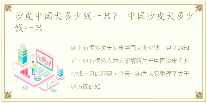 沙皮中国犬多少钱一只？ 中国沙皮犬多少钱一只