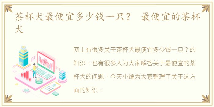 茶杯犬最便宜多少钱一只？ 最便宜的茶杯犬