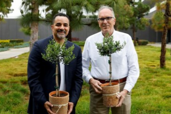 现代汽车与One Tree Planted建立合作伙伴关系