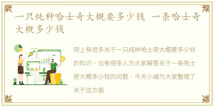 一只纯种哈士奇大概要多少钱 一条哈士奇大概多少钱