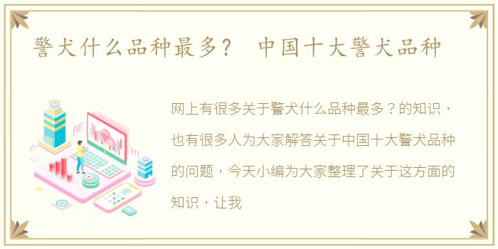 警犬什么品种最多？ 中国十大警犬品种