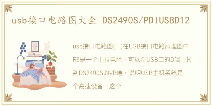 usb接口电路图大全 DS2490S/PDIUSBD12