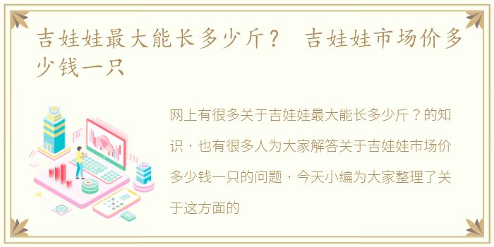 吉娃娃最大能长多少斤？ 吉娃娃市场价多少钱一只