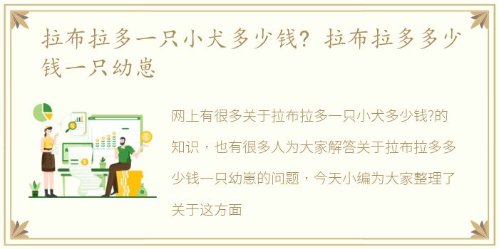 拉布拉多一只小犬多少钱? 拉布拉多多少钱一只幼崽