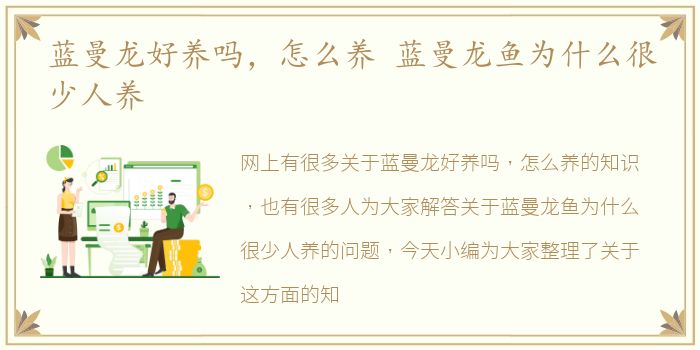蓝曼龙好养吗，怎么养 蓝曼龙鱼为什么很少人养