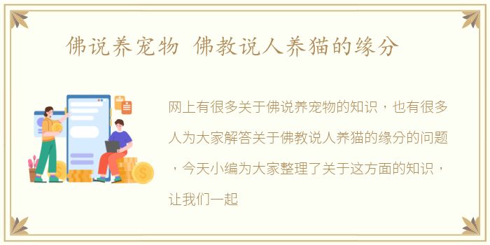 佛说养宠物 佛教说人养猫的缘分