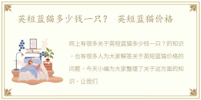 英短蓝猫多少钱一只？ 英短蓝猫价格