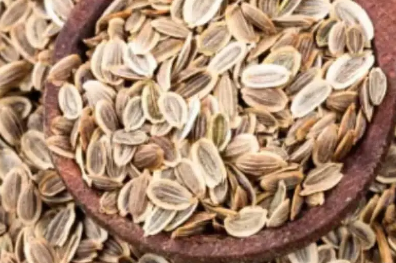 如何在饮食中添加莳萝籽小贴士和好处