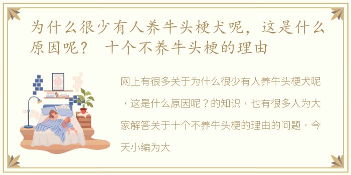 为什么很少有人养牛头梗犬呢，这是什么原因呢？ 十个不养牛头梗的理由