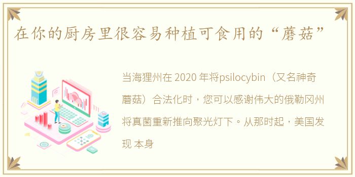 在你的厨房里很容易种植可食用的“蘑菇”